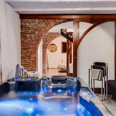 Spacieux 90M2 Jacuzzi, Standing,Bien-Etre Toulouse Extérieur photo